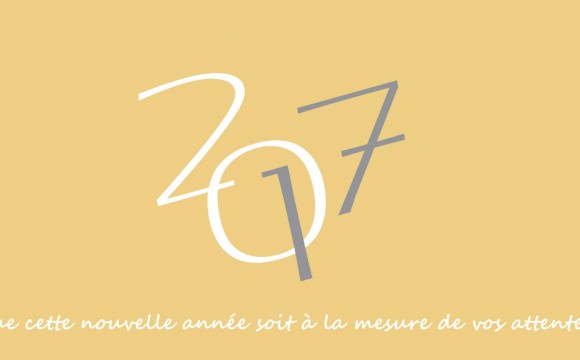 AAO vous souhaite une excellente année 2017 !